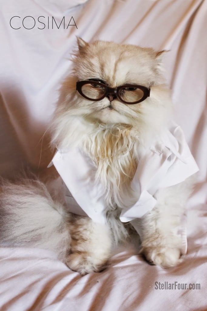 Lilly as Cosima