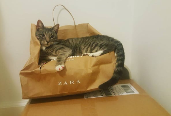 You've Started Hoarding Shopping Bags and Empty Boxes Like It's Your Job