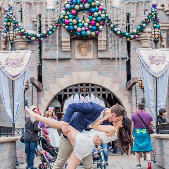 Disneyland Proposal