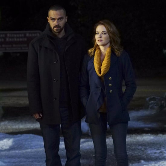 Sarah Drew Talking About Jackson and April on Grey's Anatomy