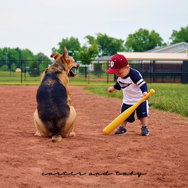 Batter Up