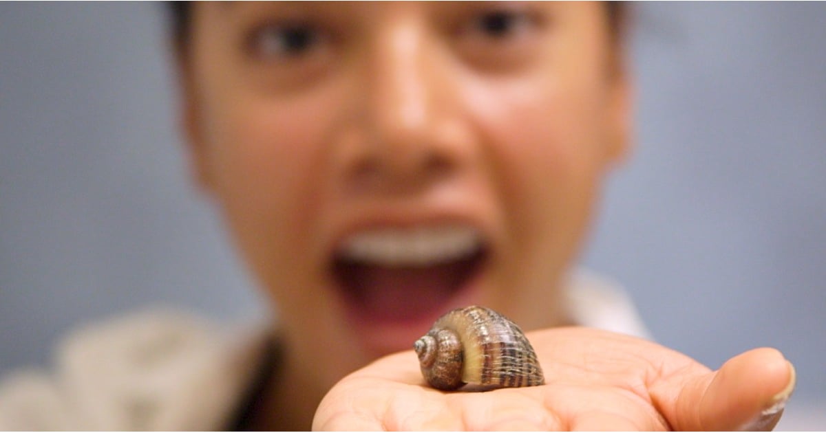 Snail Facial Trend POPSUGAR Beauty