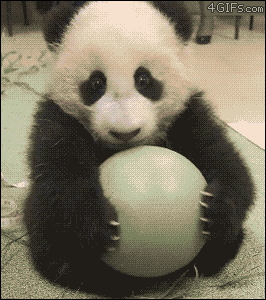 When this guy refused to give up his toy