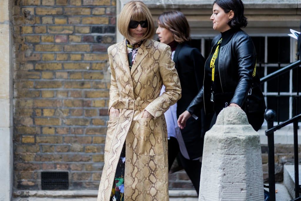 Invest in a Snakeskin Version À La Anna Wintour