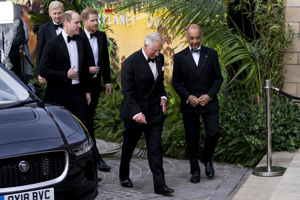 Harry, William, and Charles at Our Planet Premiere 2019