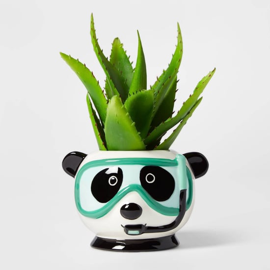 Fruit and Animal Planters From Target