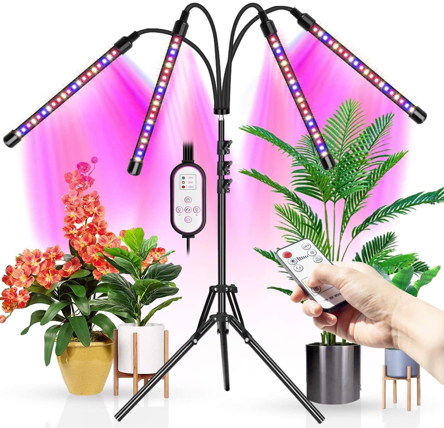 LED Grow Lights: The Best System for Indoor Plants
