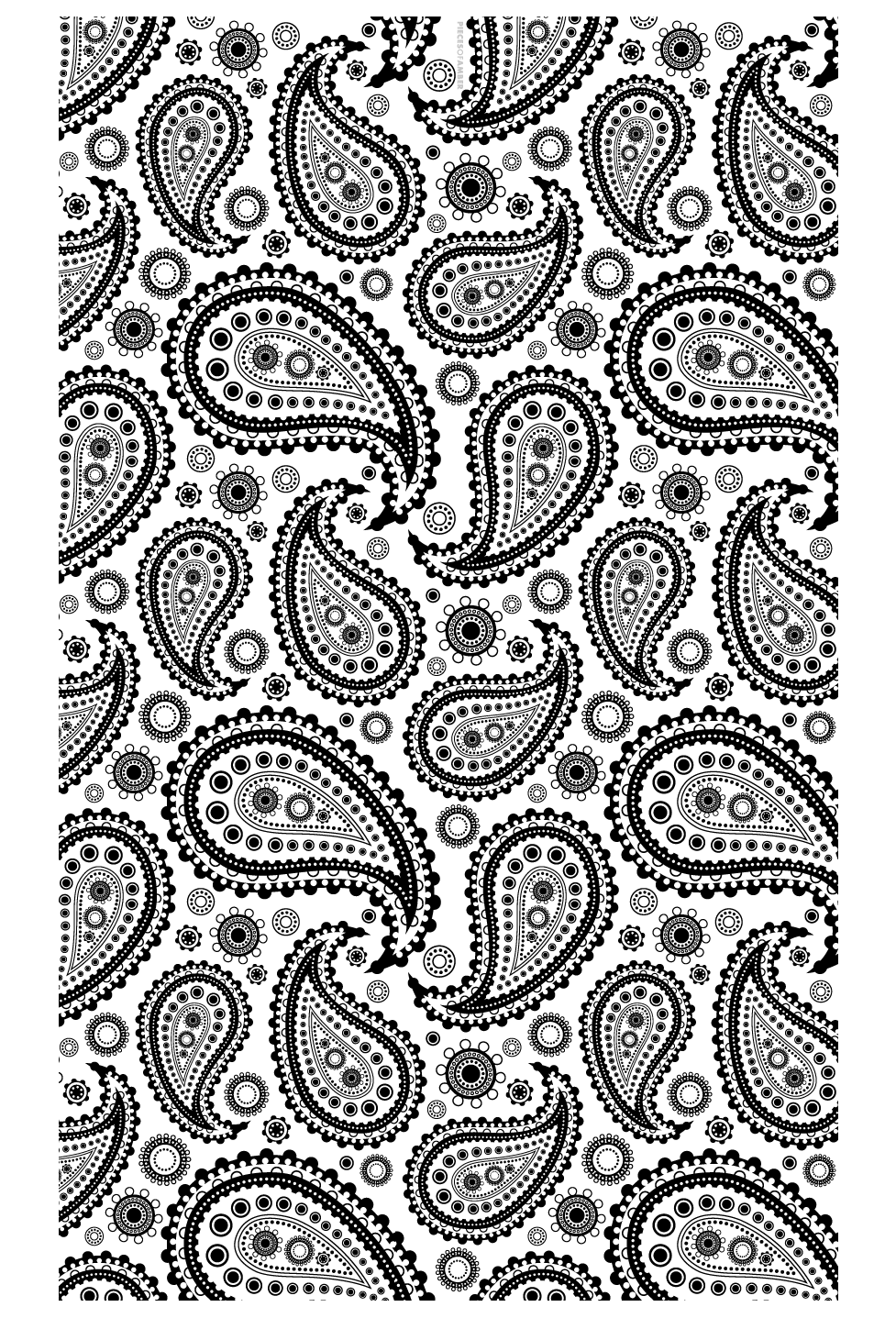 paisley adult coloring pages