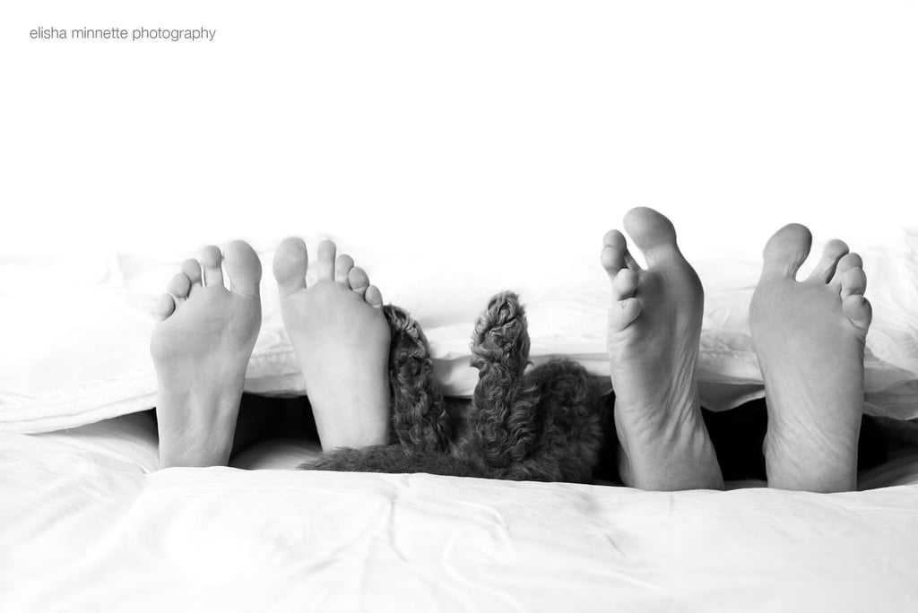 Newborn Photo Shoot Spoof With Puppy