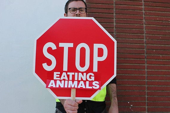 Stop Eating Animals Bumper Sticker 10-Pack