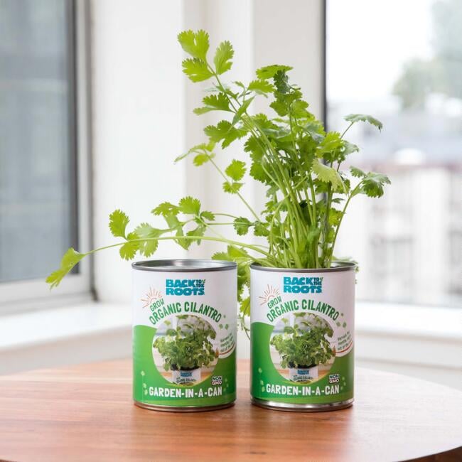 Back to the Roots Garden in a Can Herb Grow Kit Three Pack