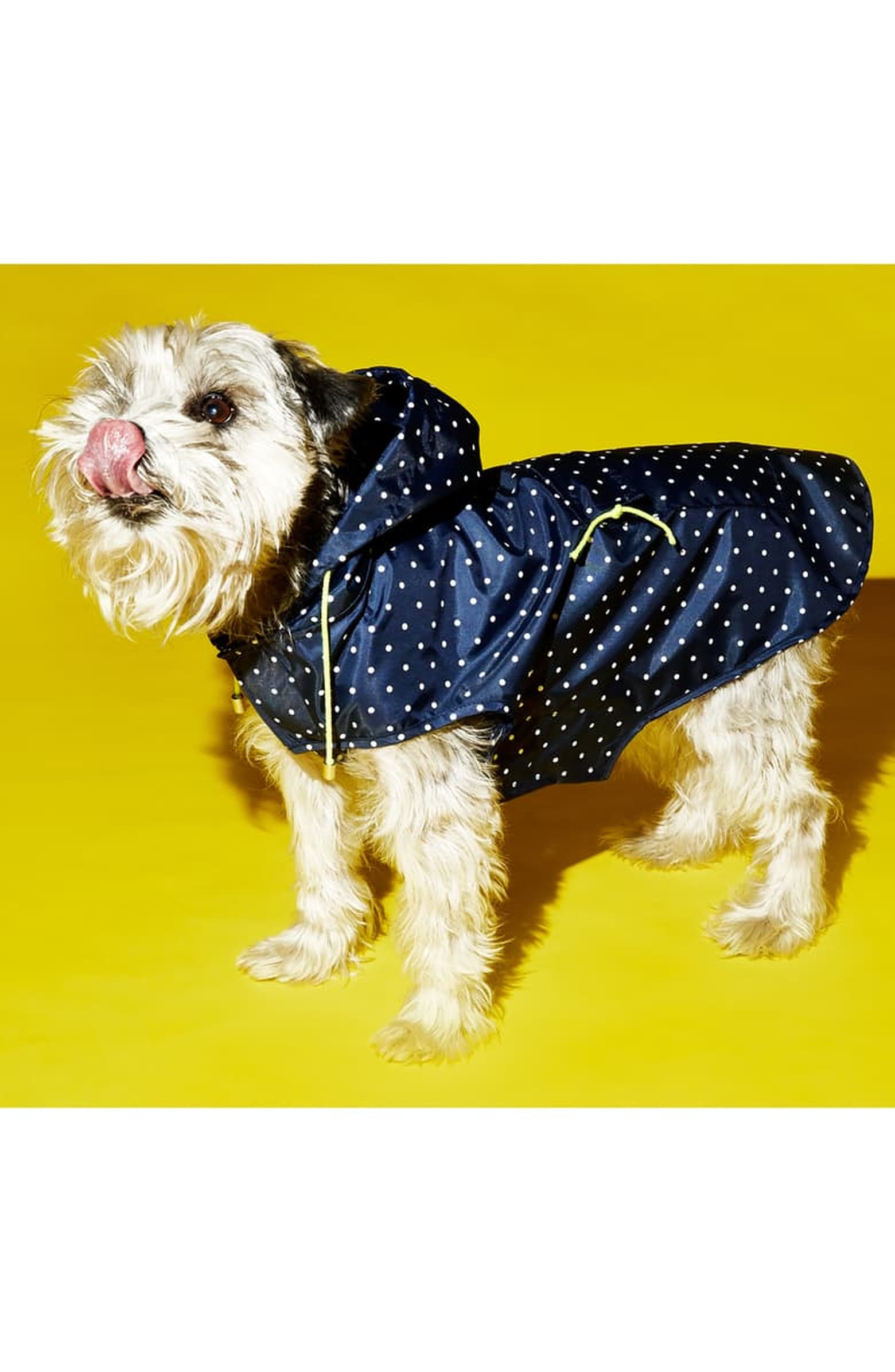 Best Dog Coats and Jackets 2020 POPSUGAR Pets