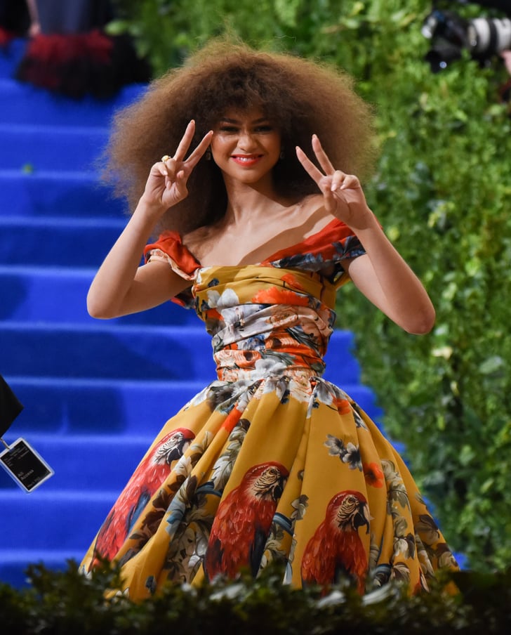 Zendaya — 2017 | Best Pictures From the Met Gala | POPSUGAR Celebrity
