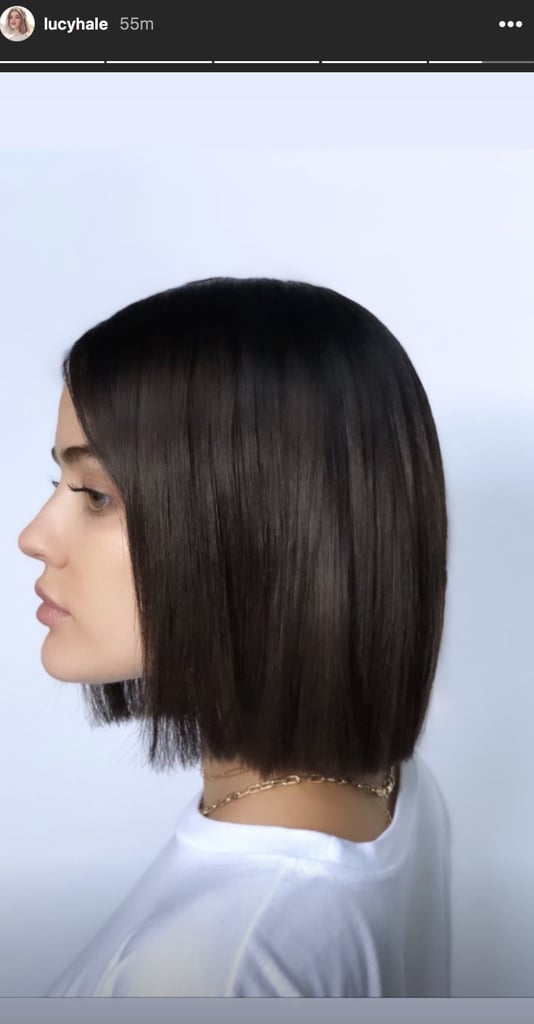 Lucy Hale Brown Hair 2019