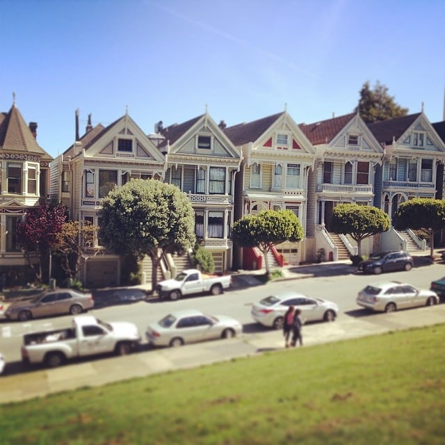 Visit the Painted Ladies