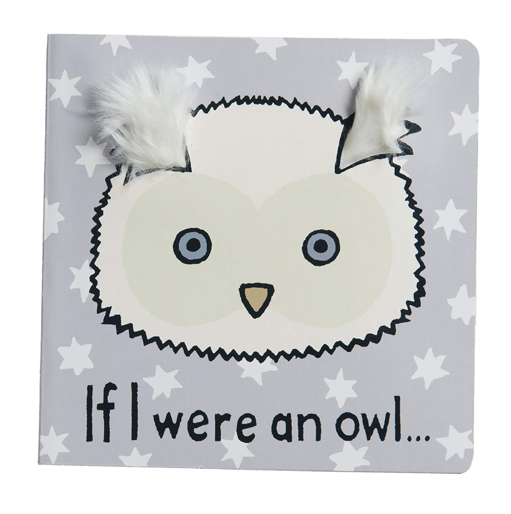 If I Were an Owl . . .