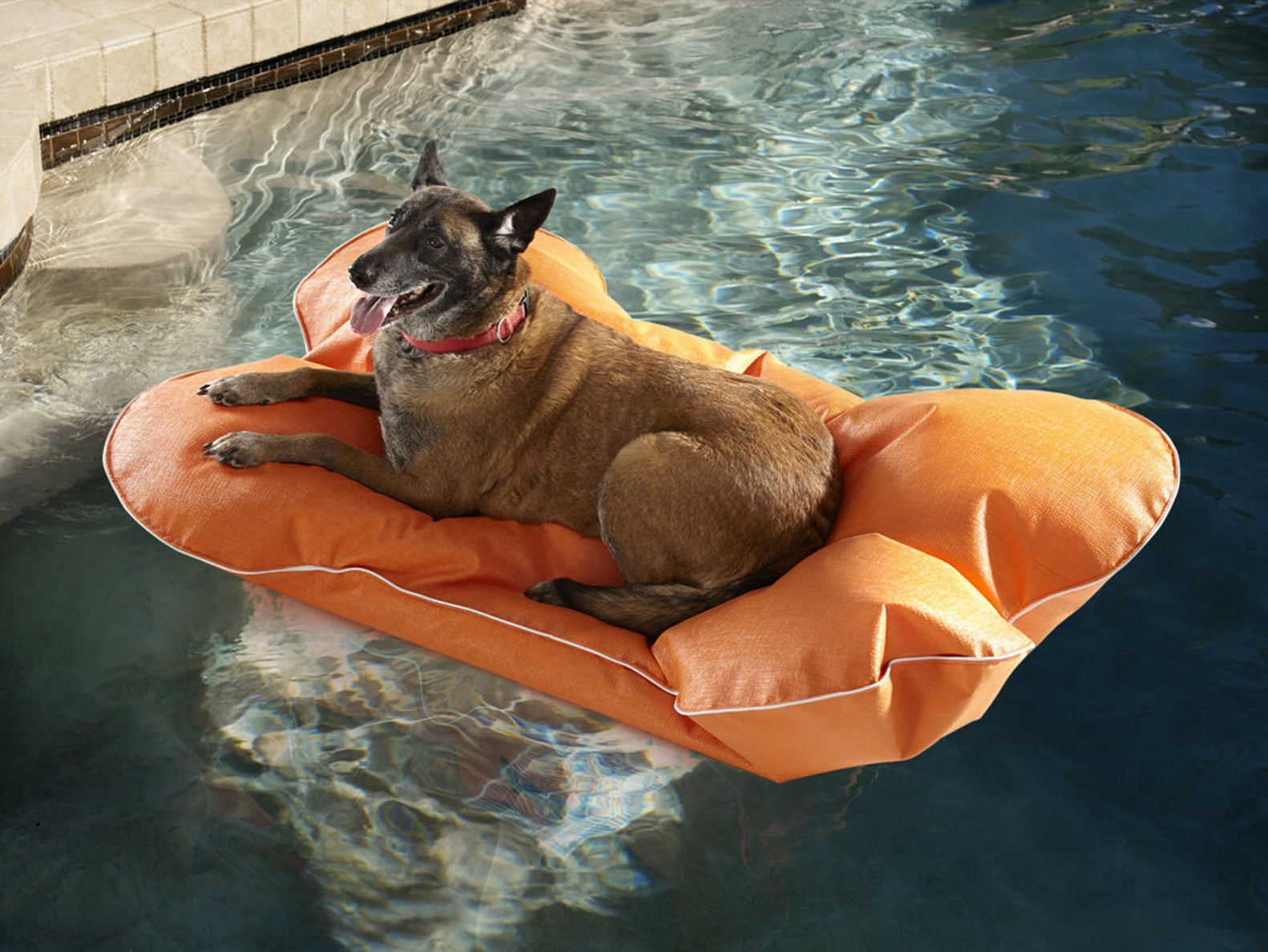 Best Backyard and Outdoor Products From Wayfair | PS Home