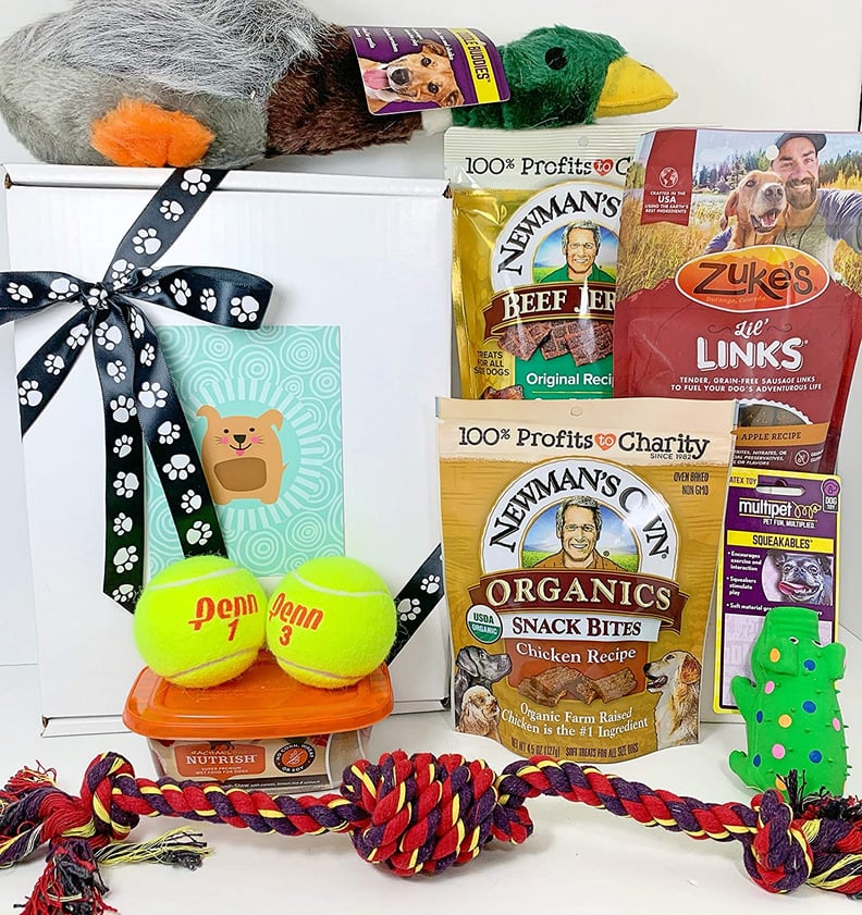 For Dog Owners: Deluxe Dog Gift Box Basket