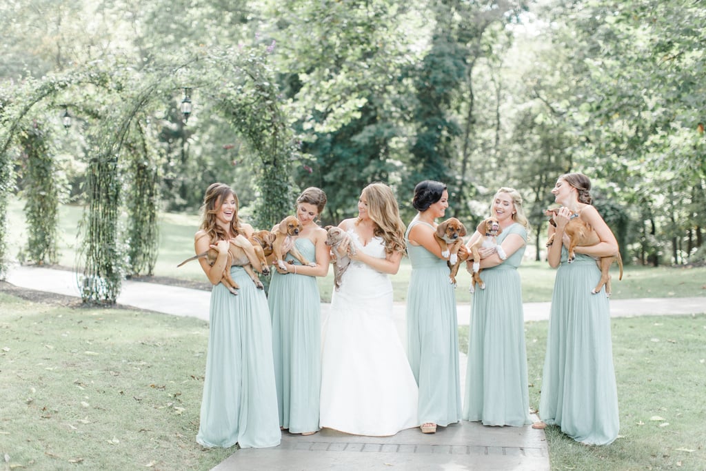 Bride Uses Puppies in Wedding Photos