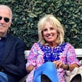 Today in Delightful Pet News: The Bidens Are Getting a Cat to Bring to the White House
