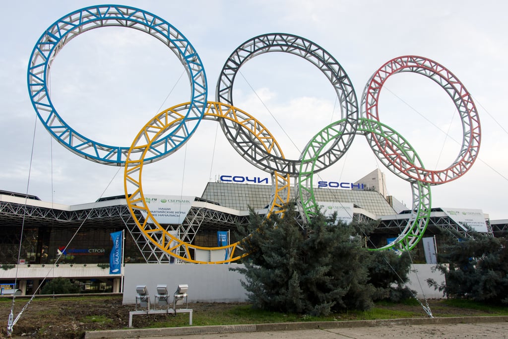 The Winter Olympics