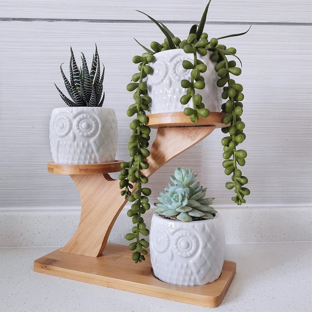 A Gift For Plant Parents: Owl Succulent Pots with 3 Tier Bamboo Saucers Stand Holder