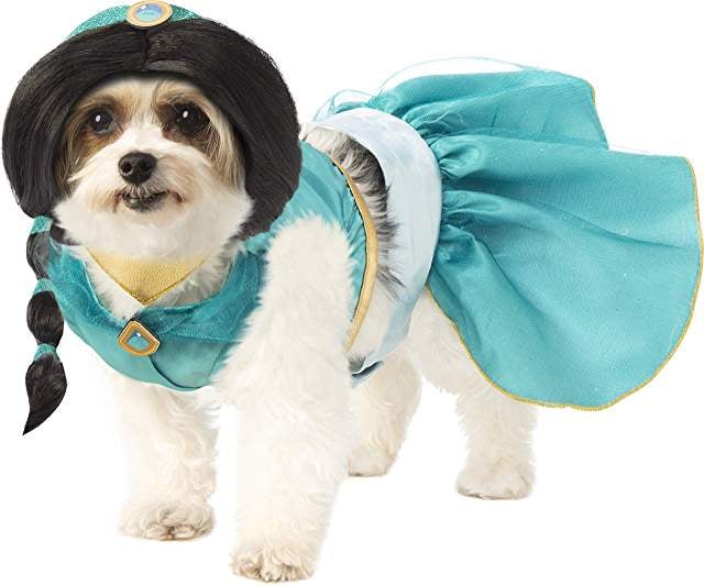 Princess Jasmine Dog Halloween Costume