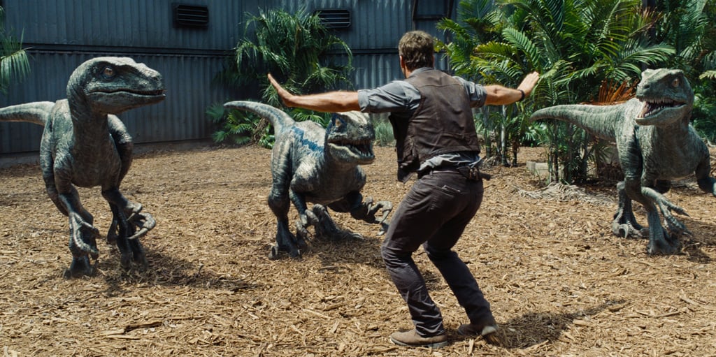 The raptor whisperer!