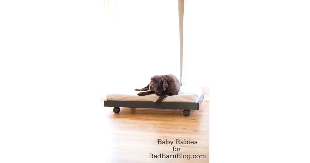 Upcycle Your Crib Mattress Into a DIY Dog Bed How to Be an Eco
