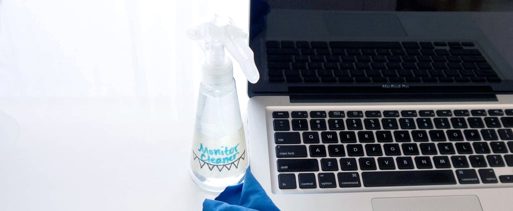 Homemade Monitor Cleaning Spray