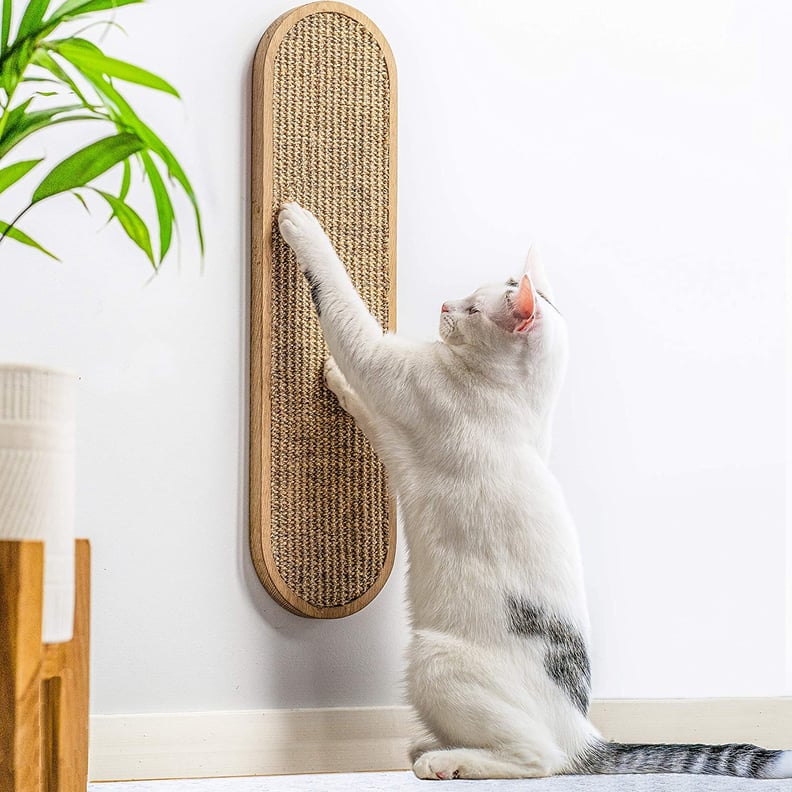 25 Products Under $25 Cat Owners Can't Live Without