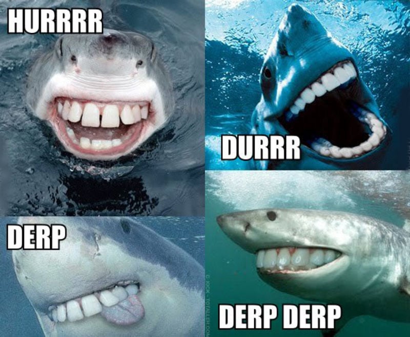 Derpiest Sharks