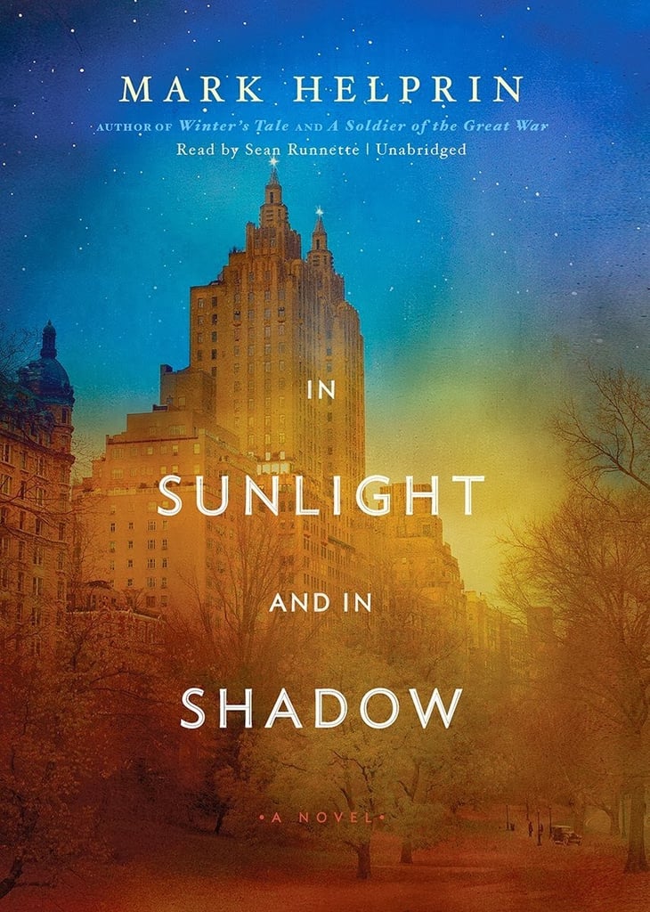 In Sunlight and in Shadow
