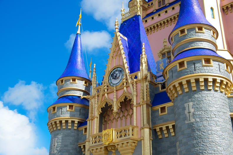 Here s why there are no mosquitoes at disney world ps smart living
