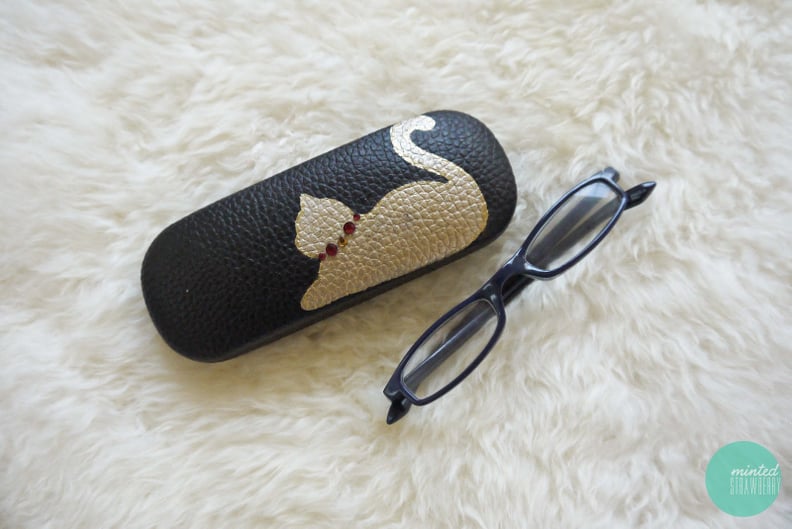 Stenciled Eye Glasses Case