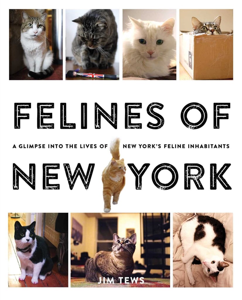 Felines of New York ($15) is a brilliant parody of the well-known Humans of New York, and it's way more furry. The back cover of the book sums it up well: "They are proof that behind every New Yorker, there lies a cat just waiting to destroy their Ikea futon and then eat their faces off when they die."