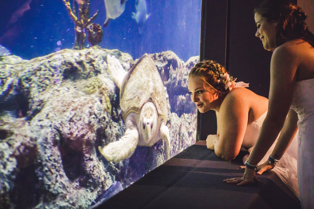 Aquarium Wedding Ideas