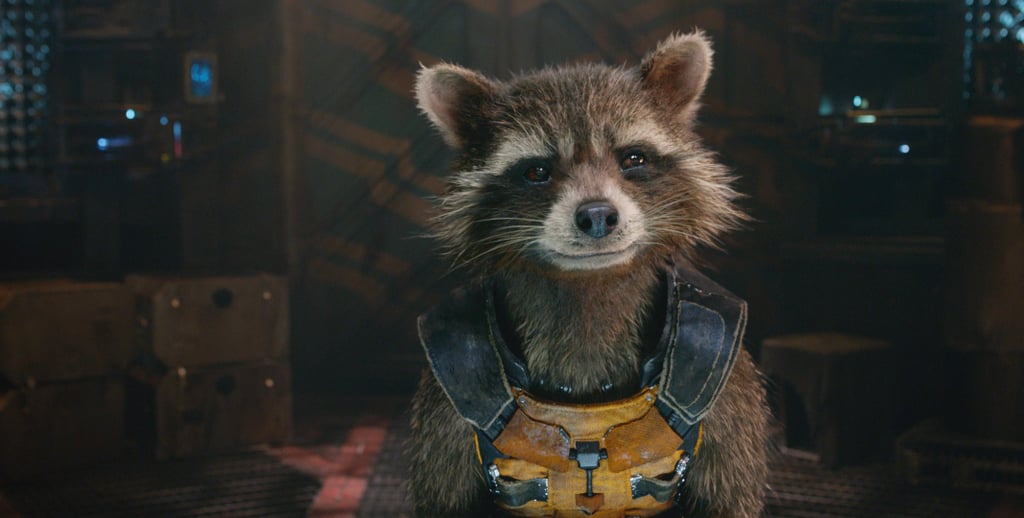 Rocket Raccoon