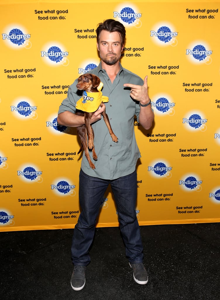 Josh Duhamel posed with a dog at the Sundance Film Festival on Monday.