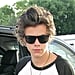 Harry Styles's Hair Pictures