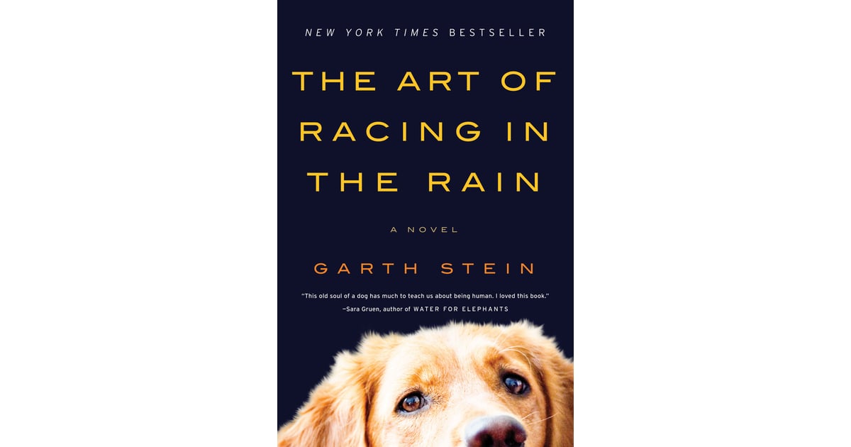 The Art of Racing in the Rain by Garth Stein