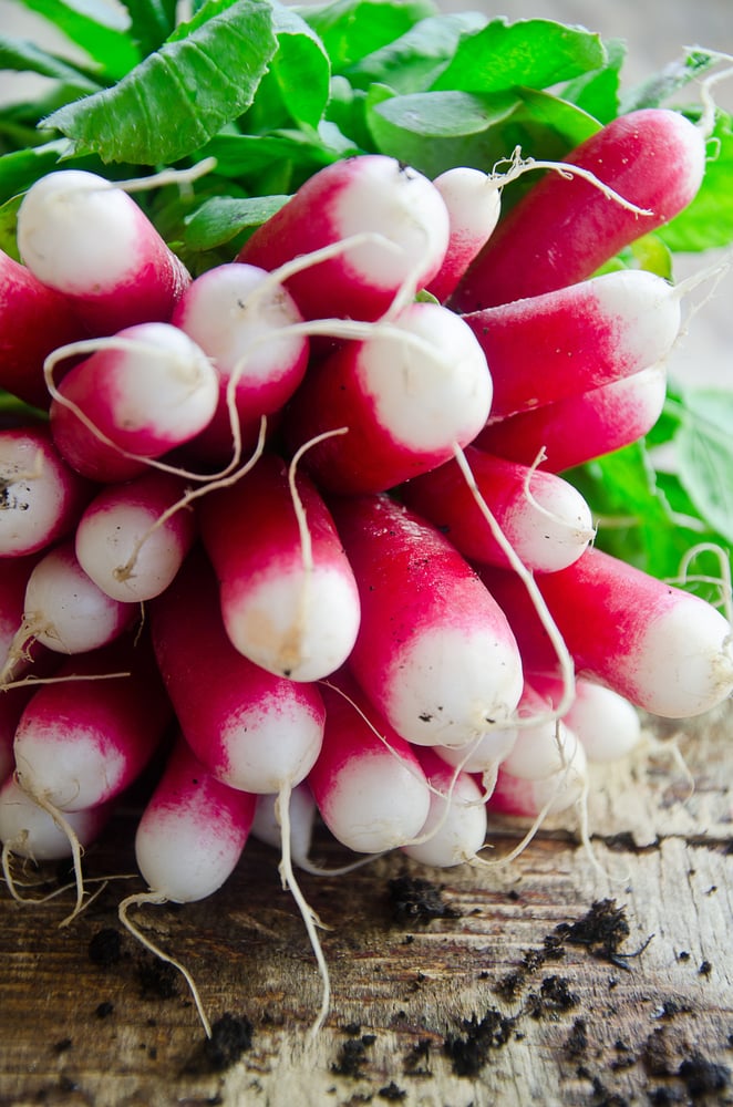 Radishes