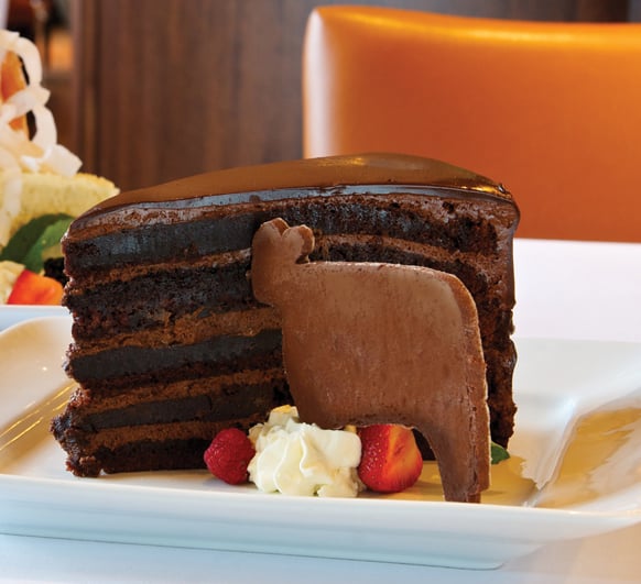 Gigantic Chocolate Cake