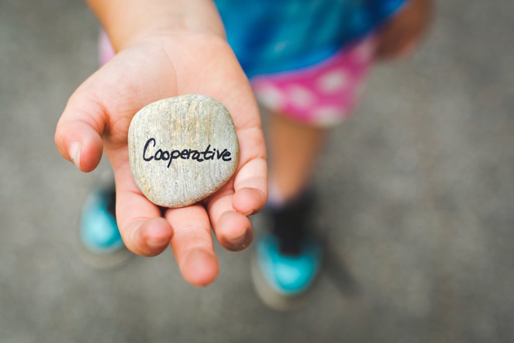 Collect and paint rocks.