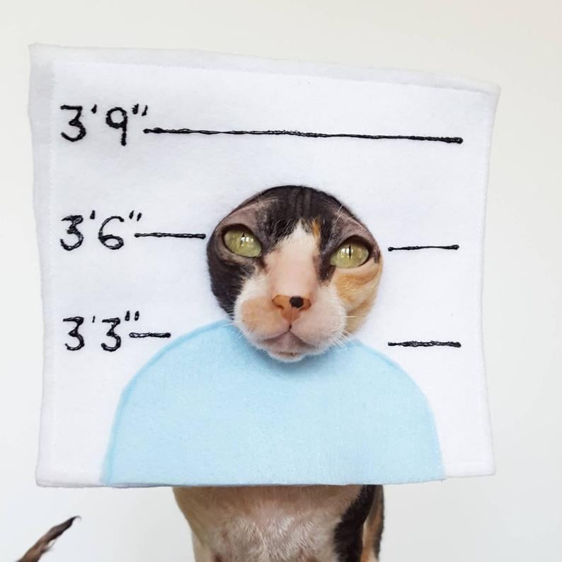 Pet Police Line-Up Costume