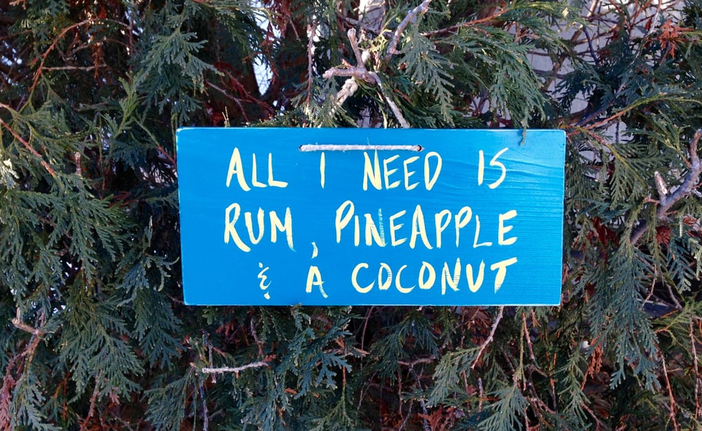 "All I Need Is Rum, Pineapple and a Coconut" Sign ($10)