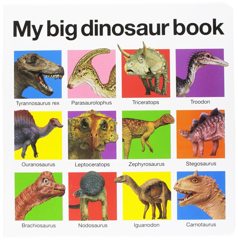 My Big Dinosaur Book