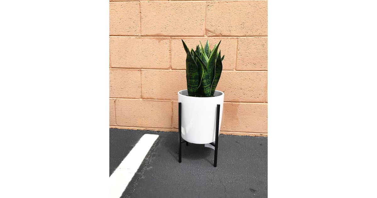 Threshold Artificial Plant in Stand Target Home Decor POPSUGAR Home