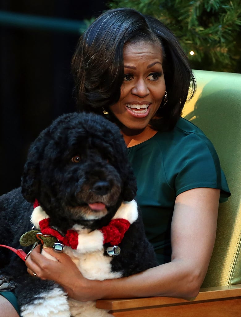 Bo made sure the first lady's lap was kept warm while she chatted with kids at the Children's National Medical Center in 2012.