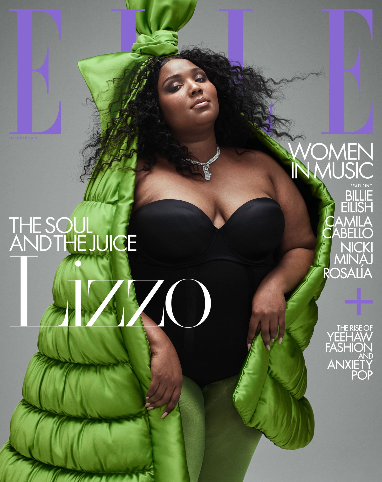 Lizzo: A Career Defined By Controversy? - 15gdyd1